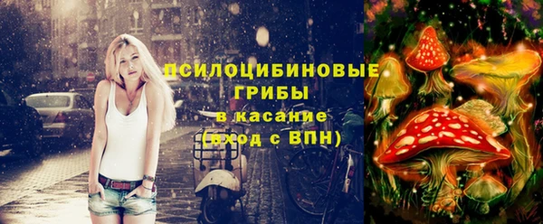а пвп мука Арсеньев
